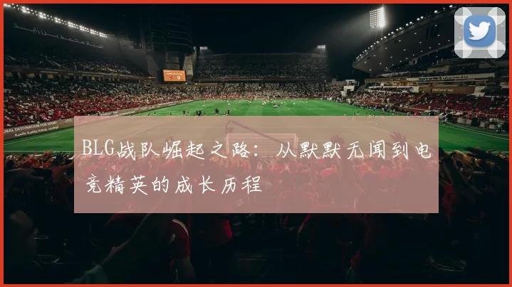 BLG战队崛起之路：从默默无闻到电竞精英的成长历程