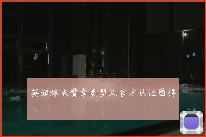 英超球衣臂章类型及官方认证图样
