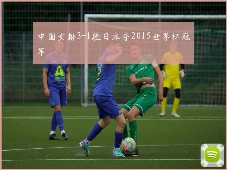 中国女排3-1胜日本夺2015世界杯冠军