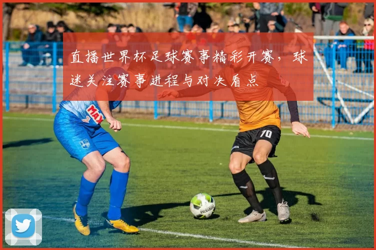 直播世界杯足球赛事精彩开赛,球迷关注赛事进程与对决看点