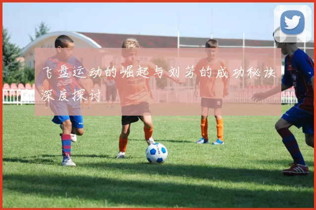 飞盘运动的崛起与刘芳的成功秘诀深度探讨