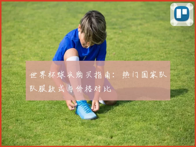 世界杯球衣购买指南：热门国家队队服款式与价格对比