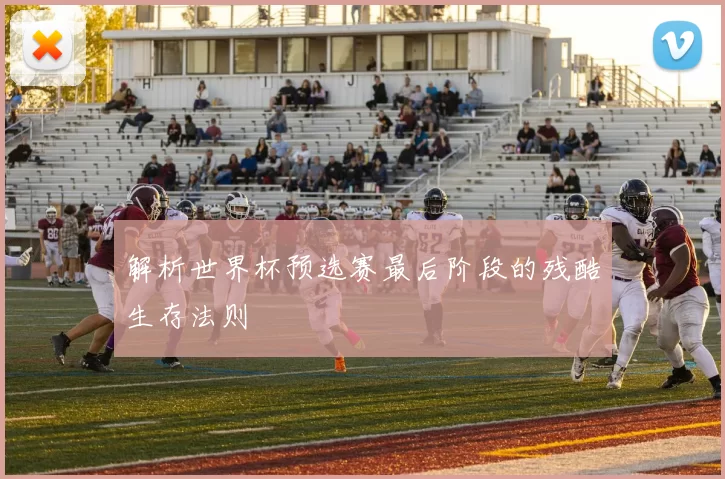 解析世界杯预选赛最后阶段的残酷生存法则