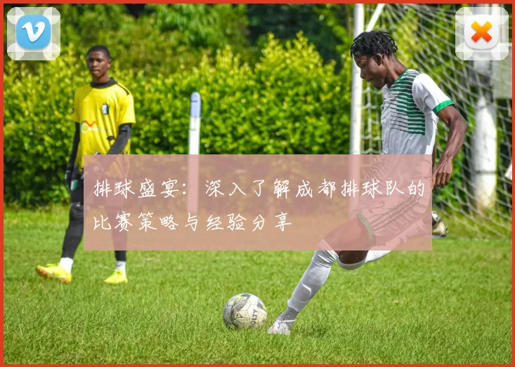 排球盛宴：深入了解成都排球队的比赛策略与经验分享