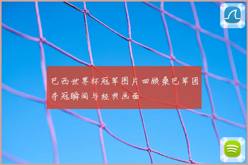 巴西世界杯冠军图片回顾桑巴军团夺冠瞬间与经典画面