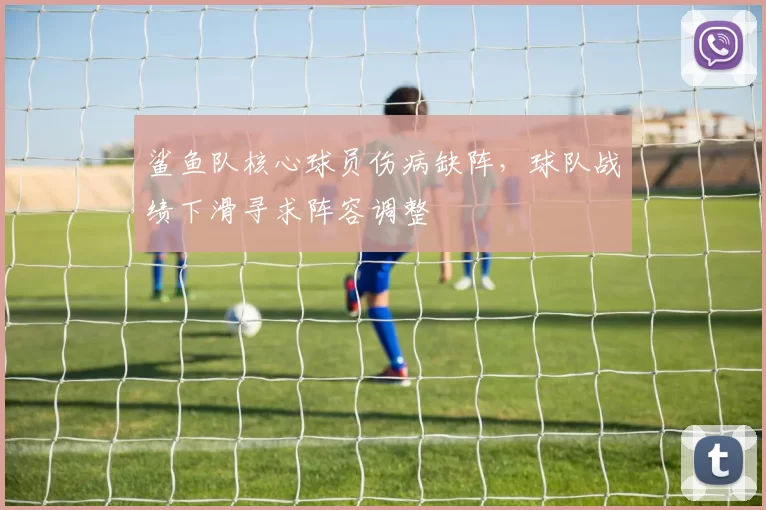 鲨鱼队核心球员伤病缺阵,球队战绩下滑寻求阵容调整