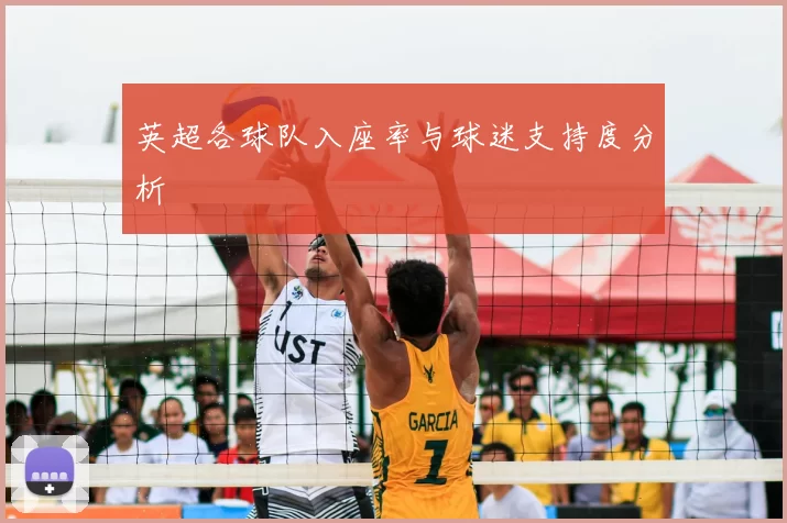 英超各球队入座率与球迷支持度分析