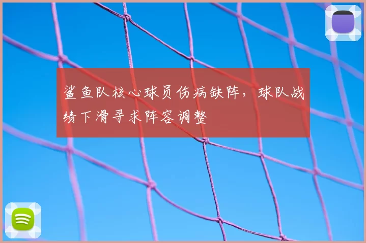 鲨鱼队核心球员伤病缺阵,球队战绩下滑寻求阵容调整