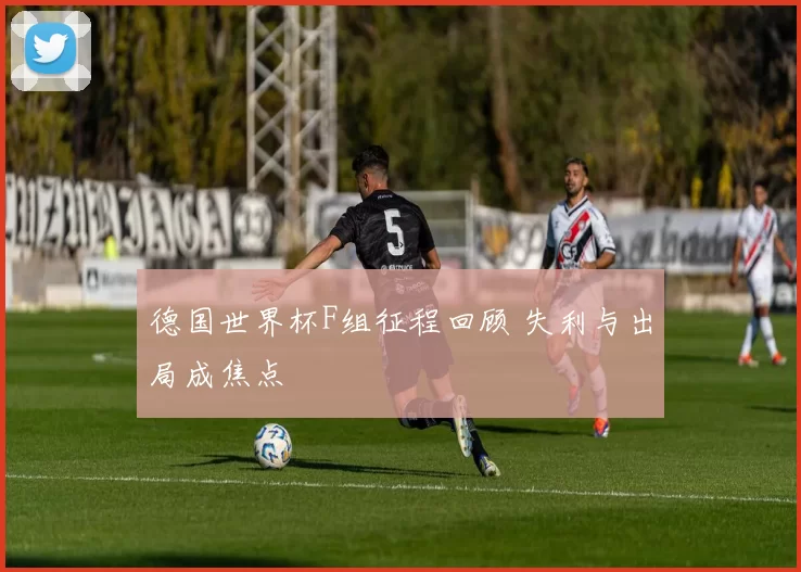 德国世界杯F组征程回顾 失利与出局成焦点