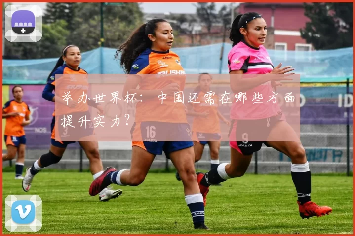 举办世界杯:中国还需在哪些方面提升实力?