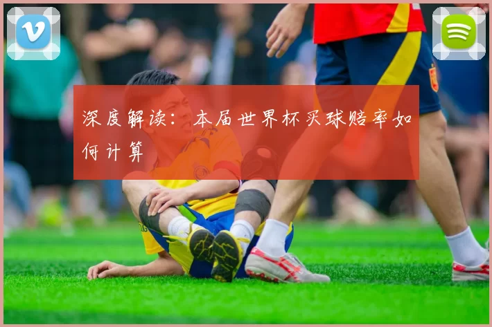 深度解读:本届世界杯买球赔率如何计算