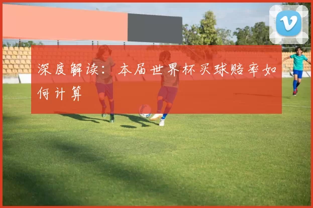 深度解读:本届世界杯买球赔率如何计算