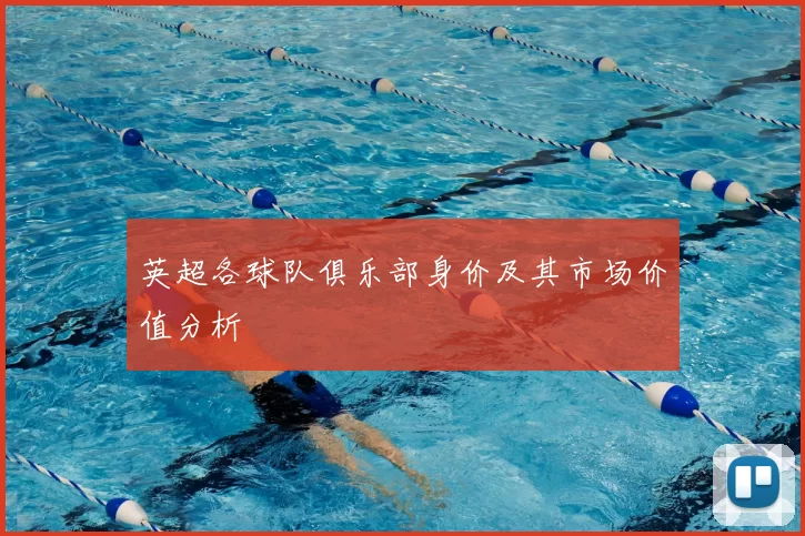 英超各球队俱乐部身价及其市场价值分析