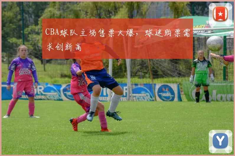 CBA球队主场售票火爆，球迷购票需求创新高