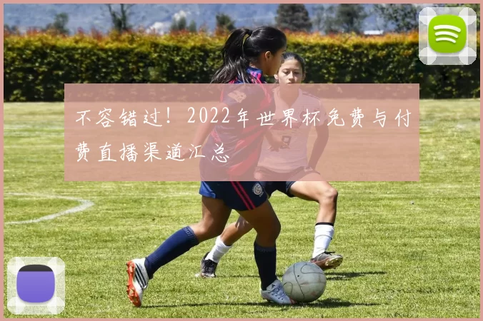 不容错过!2022年世界杯免费与付费直播渠道汇总