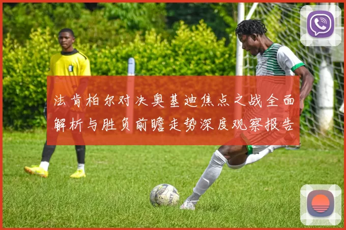 法肯柏尔对决奥基迪焦点之战全面解析与胜负前瞻走势深度观察报告解读